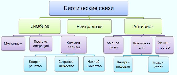 Биотические связи