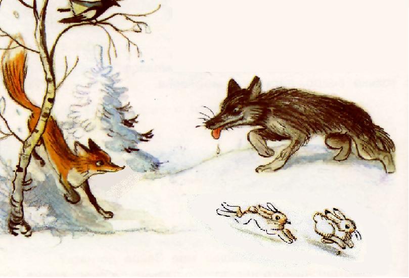 И волки, и лисы охотятся на зайцев, поэтому между этими хищниками возникает конкуренция за пищу