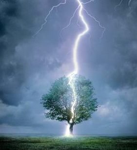 Молния в дерево